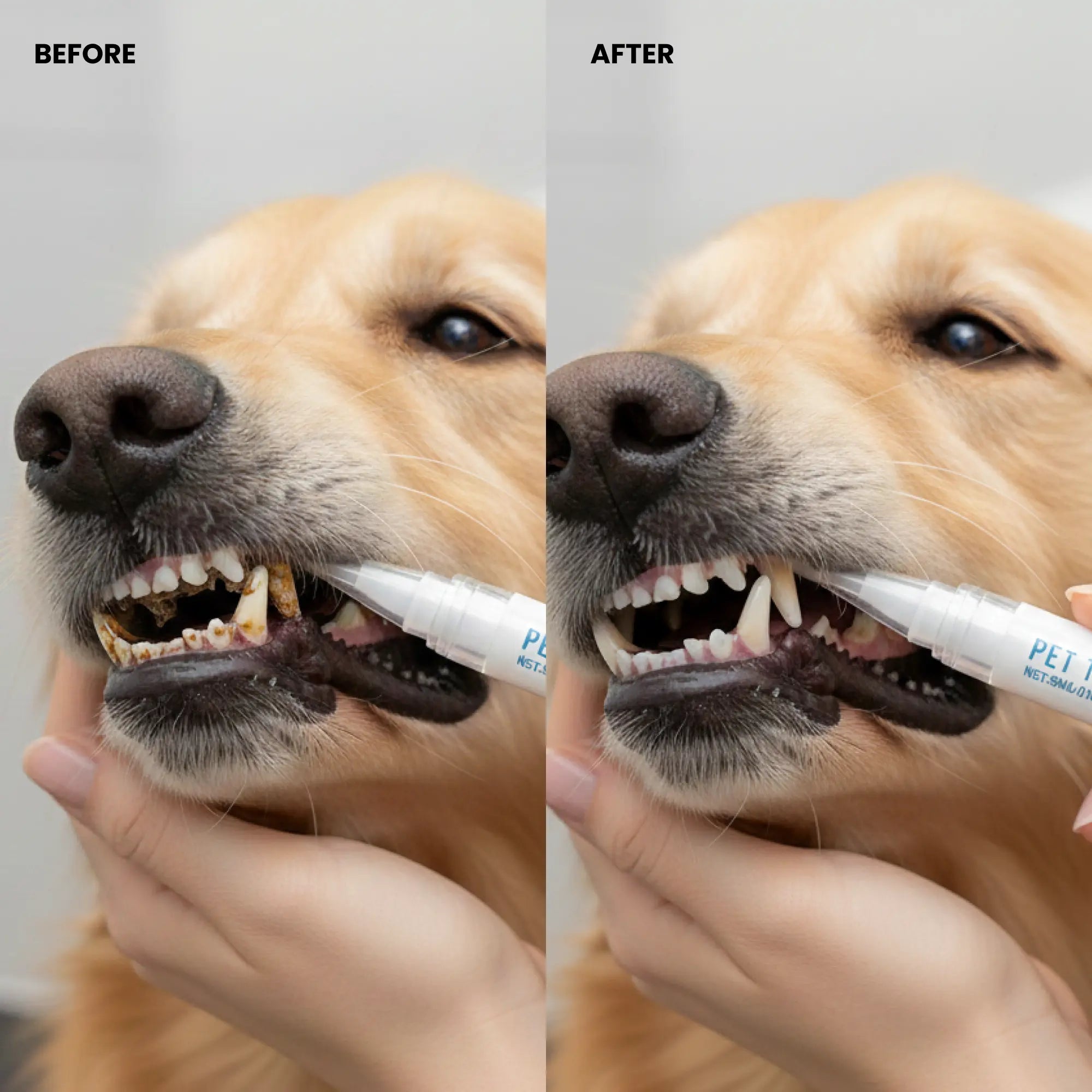 Pet Toothbrush Pen (One Piece)