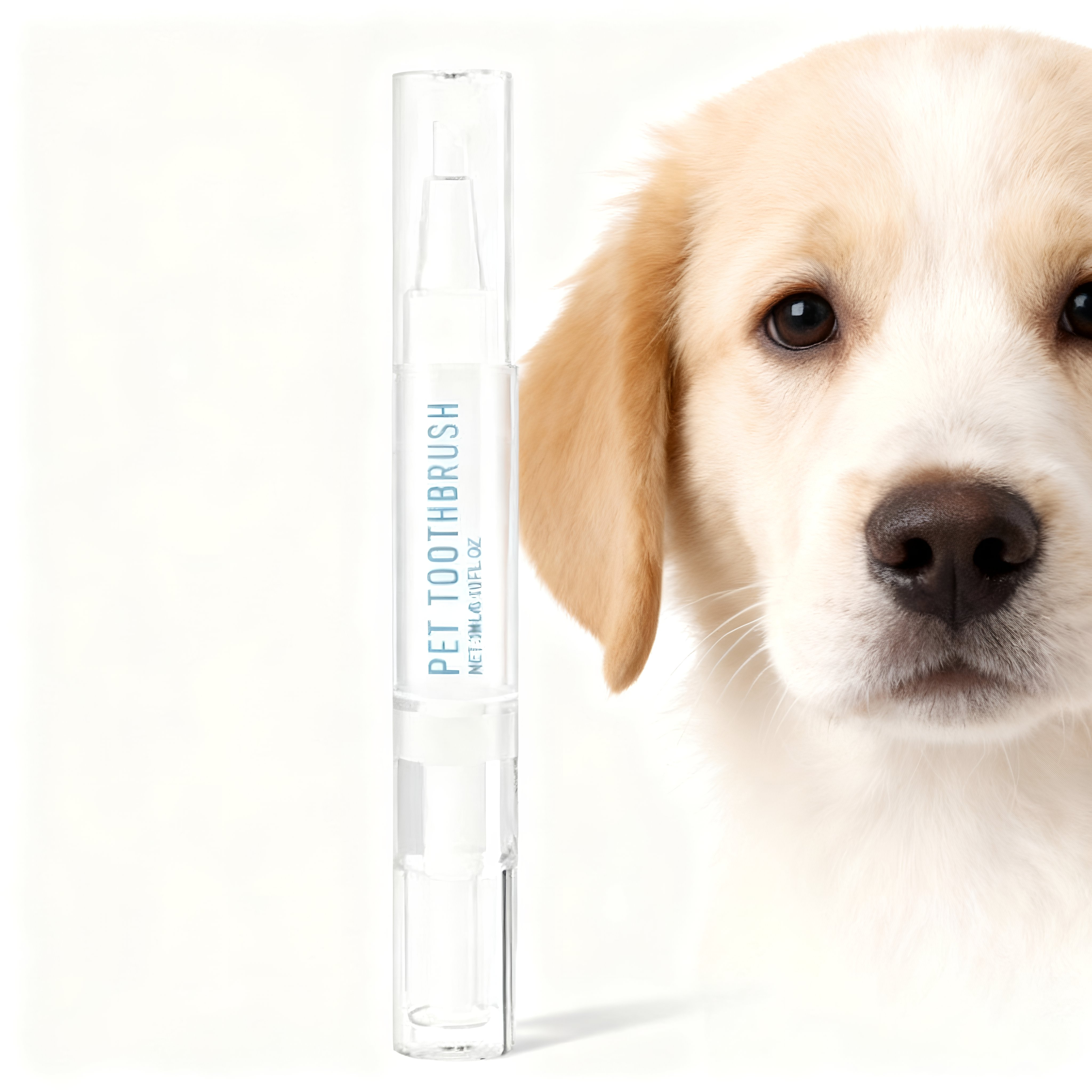 Pet Toothbrush Pen (One Piece)